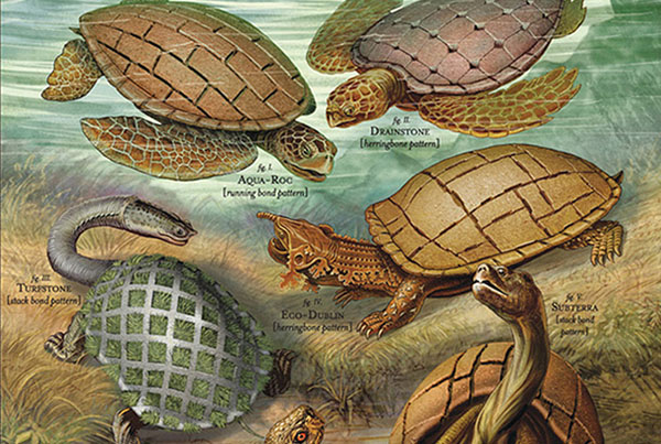 Belgard | Turtles